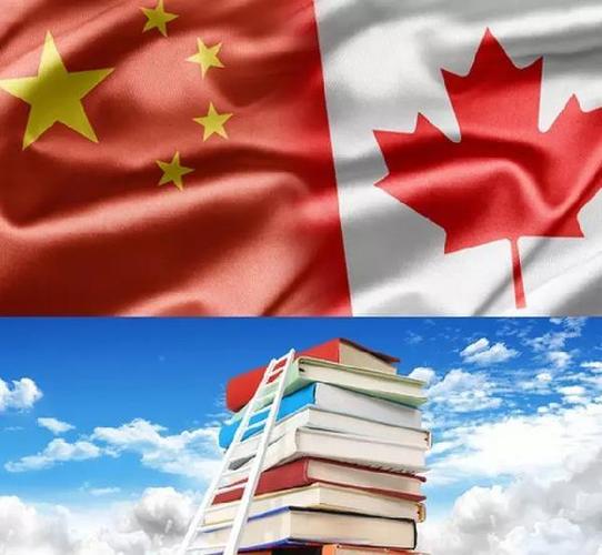 加拿大vs中国视频观看