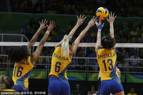 巴西排球vs中国里约